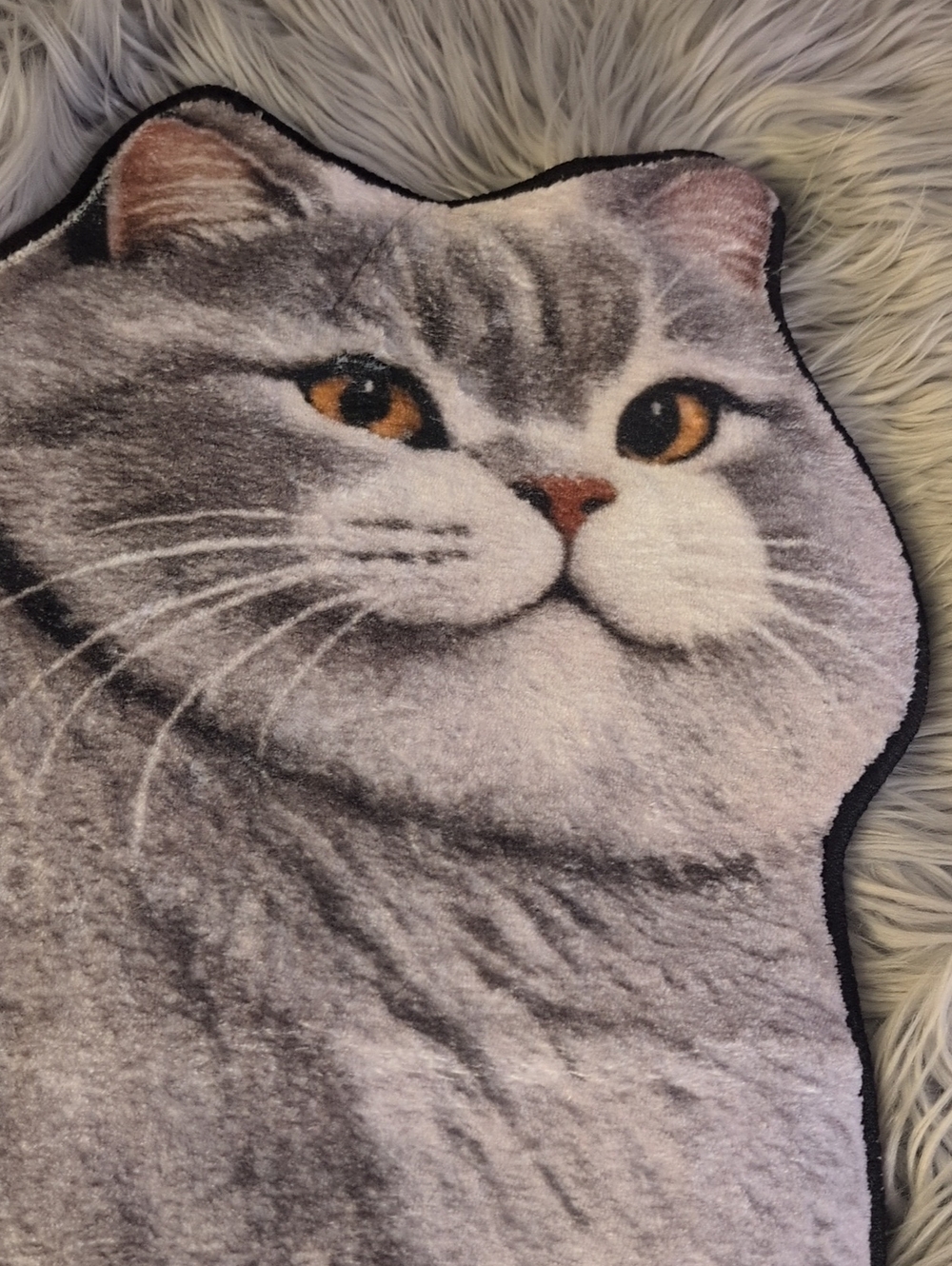 New Kitty Cat Rugs - Picture 8 of 9